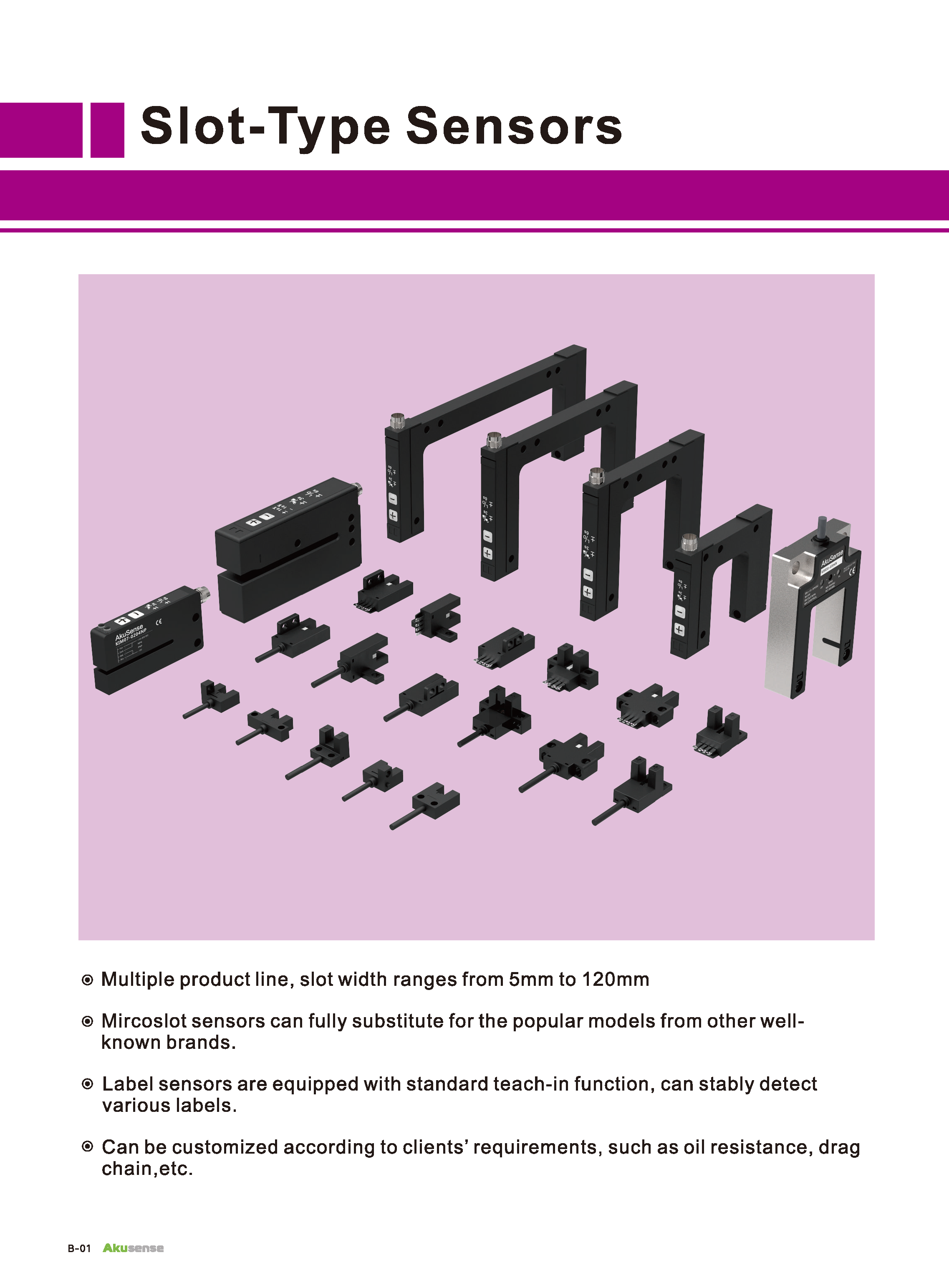 Download Akusense Sensor Catalogs Technical Data